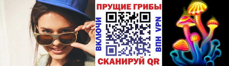 закладки  Мамоново  Галлюциногенные грибы Psilocybe 